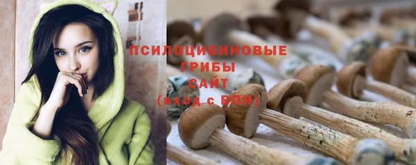 твердый Алзамай