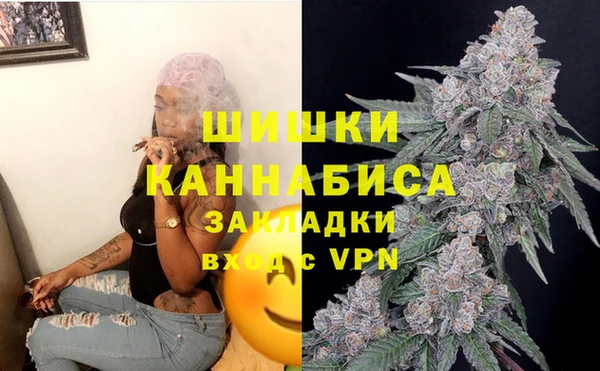 твердый Алзамай