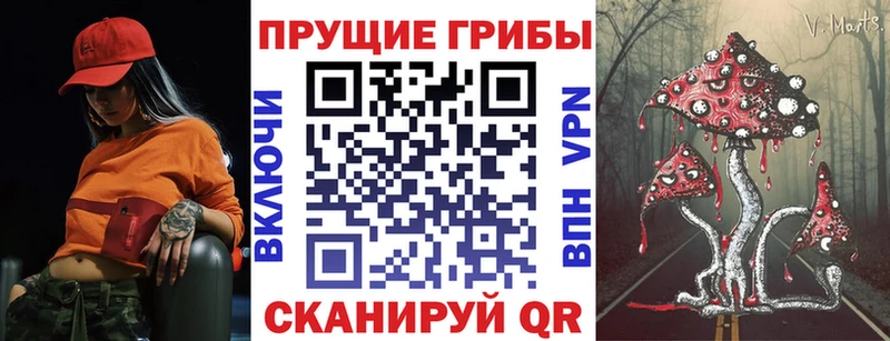 Псилоцибиновые грибы Psilocybe  Павловская 